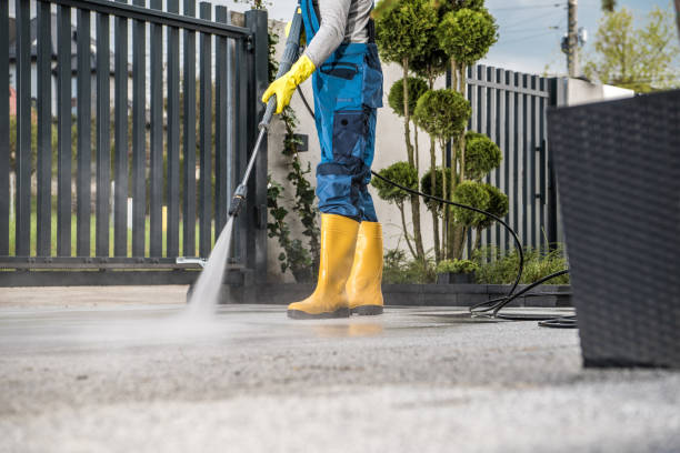 Best Roof Washing  in Dover Plains, NY